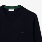 Merino Wool Crew Neck Sweater