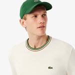 Striped Cotton Jersey Sweater