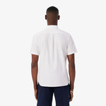 Regular Fit Short Sleeved Oxford Shirt