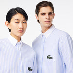 Striped Maxi Croc Contrast Collar Cotton Oxford Shirt
