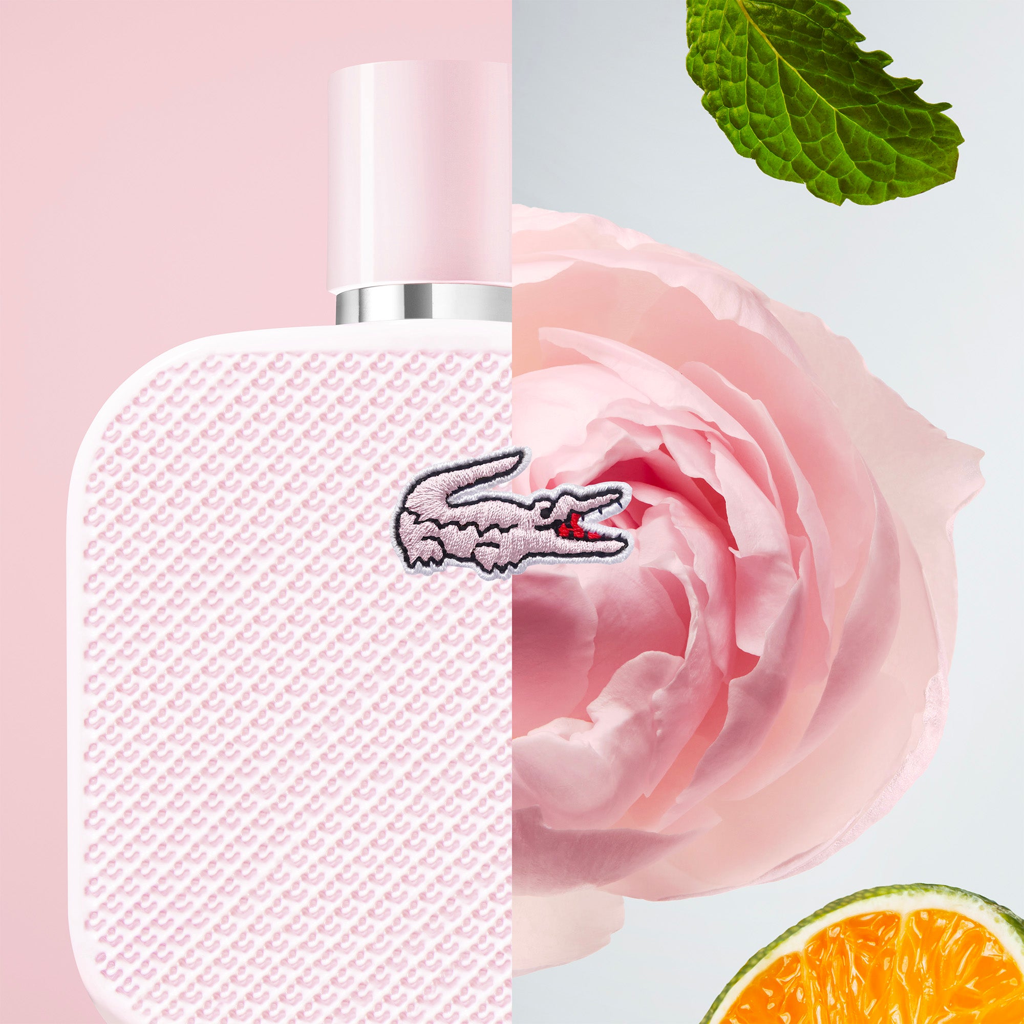 L.12.12 Rose Eau de Parfum 50ml – Lacoste ZA