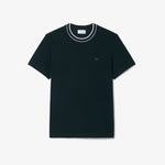 Stretch Piqué Stripe Collar T-shirt
